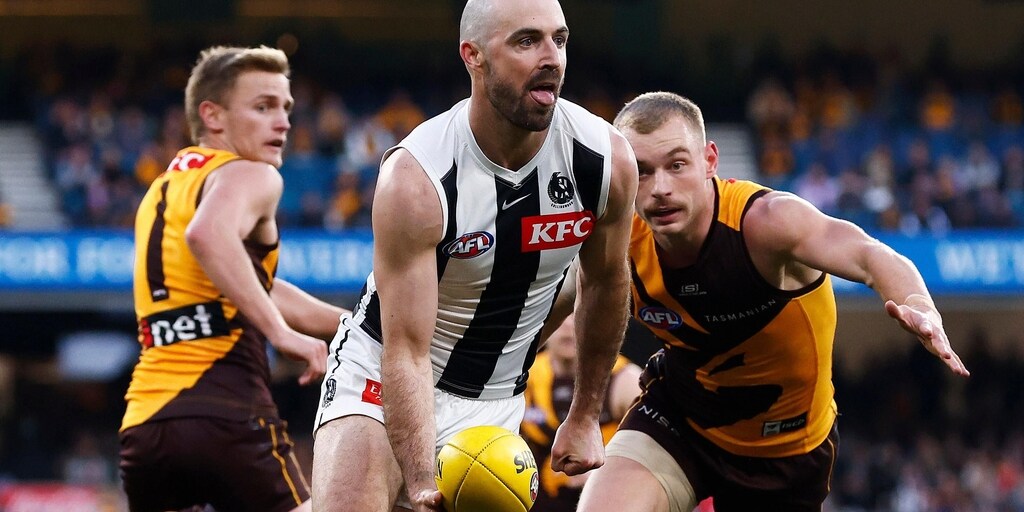 Collingwood Magpies veteran Steele Sidebottom joins star Nick Daicos on sidelines, defender Nathan Murphy pushing to face Geelong Cats - Vimarsana News