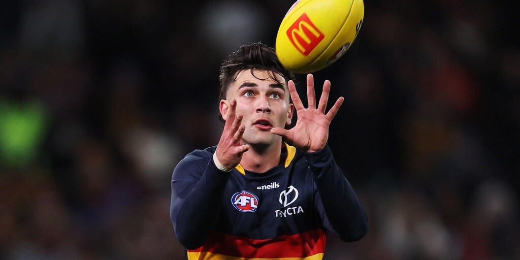 Ben's back to help Roos bounce Bombers LIVE from 1.45pm AEST - Vimarsana News