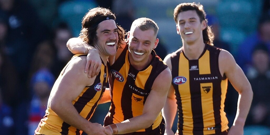 Hawthorn Hawks cause yet another shock with Western Bulldogs upset - Vimarsana News