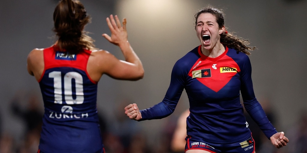 Melbourne's flag Dee-fence off to a flyer despite Pies challenge - Vimarsana News