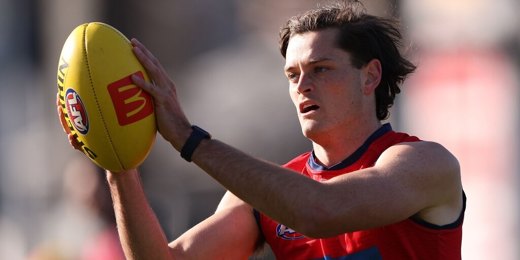 Melbourne Demons farewell injury-hit defender Kye Turner after one season - Vimarsana News