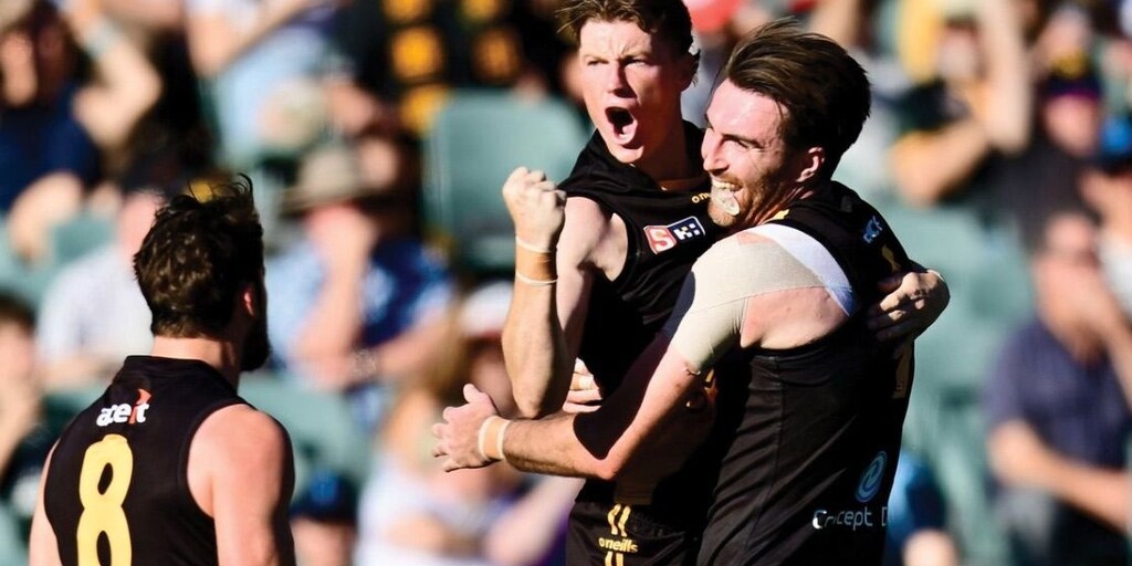 Ex-Roo Lachie Hosie the six-goal hero as Glenelg downs Sturt in SANFL GF - Vimarsana News