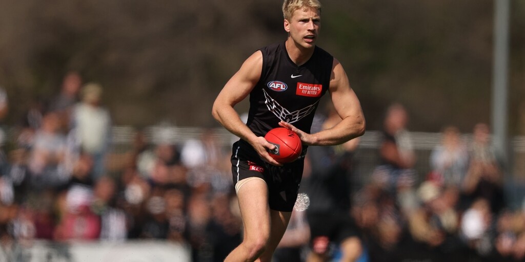 Collingwood Magpies veteran Steele Sidebottom backs Billy Frampton to come alive after unlikely Grand Final call-up - Vimarsana News
