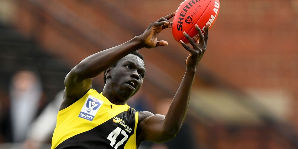 North Melbourne Kangaroos add further defensive depth with deal for Richmond Tigers tall Bigoa Nyuon - Vimarsana News