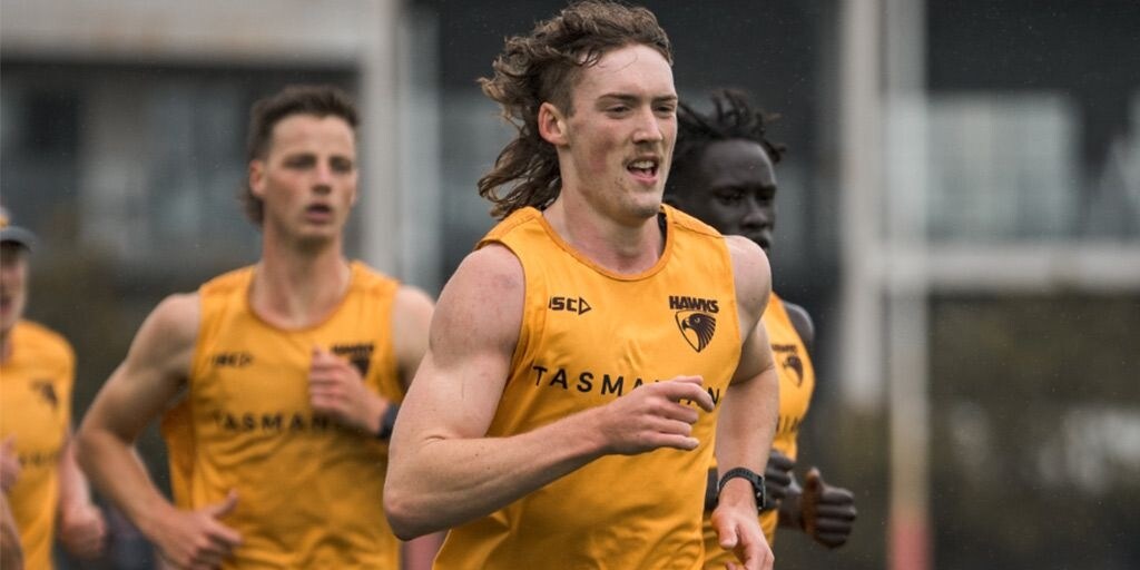 Breakout Hawk signs two-year contract extension - Vimarsana News