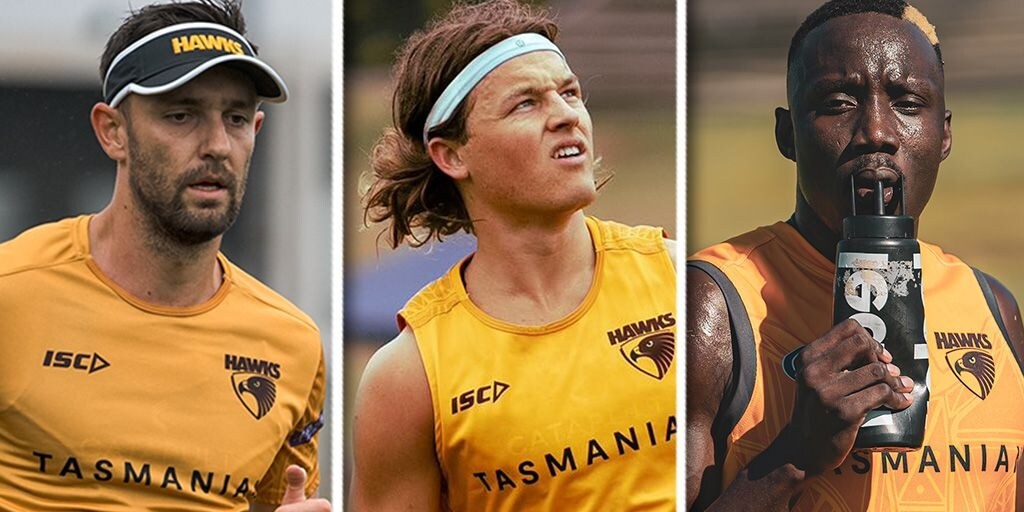Forward thinking: Off-season overhaul has Hawthorn Hawks spoilt for choice - Vimarsana News