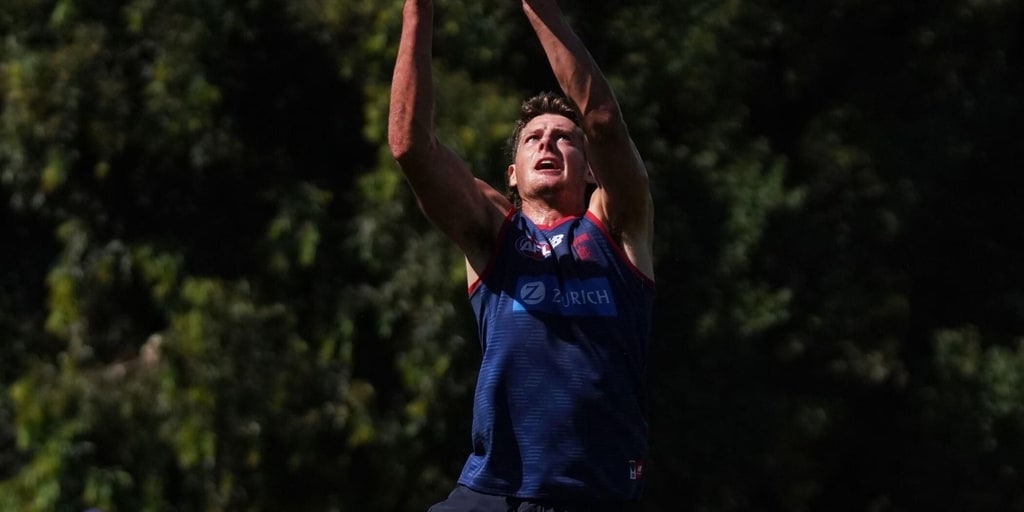 Dees' recruit facing delayed start to season after injuring hamstring - Vimarsana News