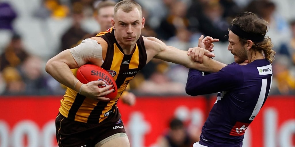 Finals in 'more consistent' Hawthorn Hawks' sights after big pre-season - Vimarsana News