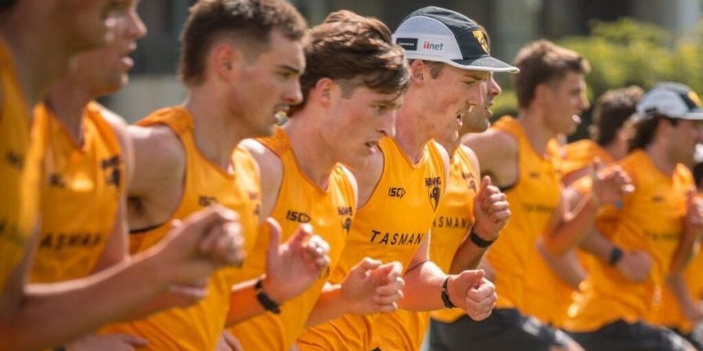 Hawthorn season preview: Injury woes leave big test for young Hawks - Vimarsana News