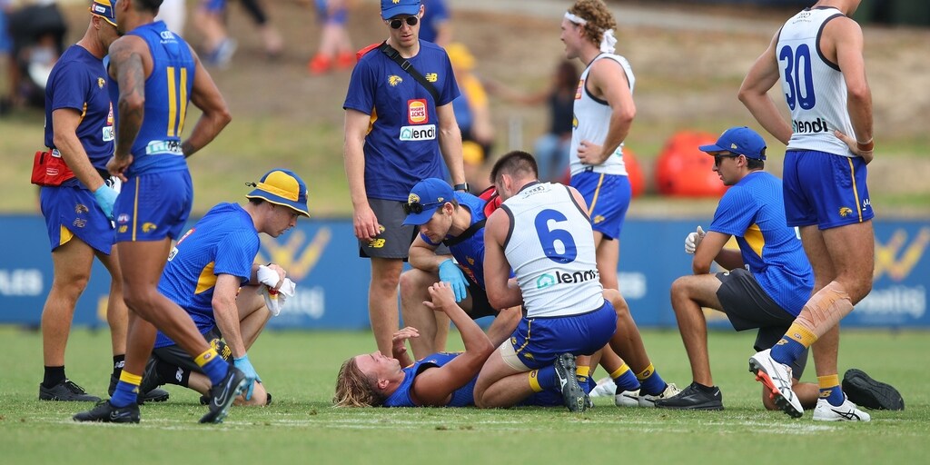 West Coast Eagles sweat on scans for first-year mid Clay Hall after intraclub mishap - Vimarsana News