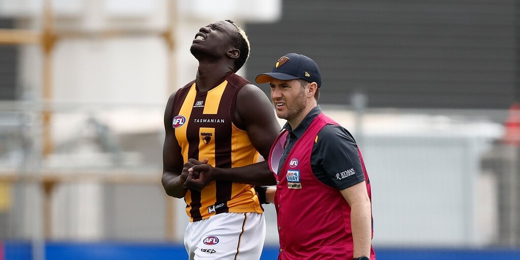 LIVE BLOG: Friday match simulations Bulldogs v Hawks, Saints v Bombers, Power v Crows - Vimarsana News