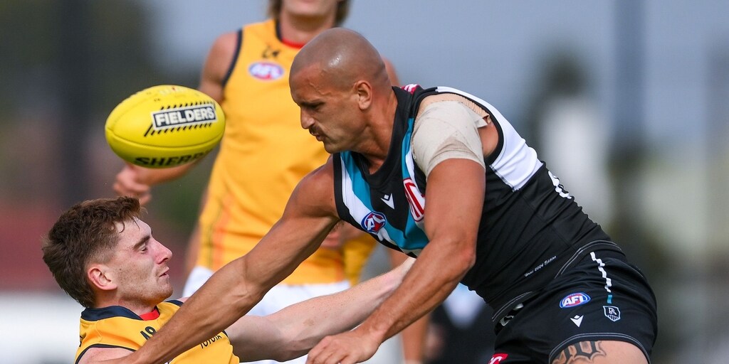 Port Adelaide Power forward Sam Powell-Pepper learns fate at Tribunal - Vimarsana News
