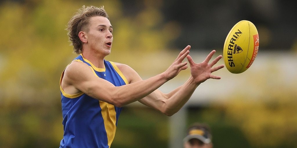 Son of late Hawks great to make emotional debut - Vimarsana News