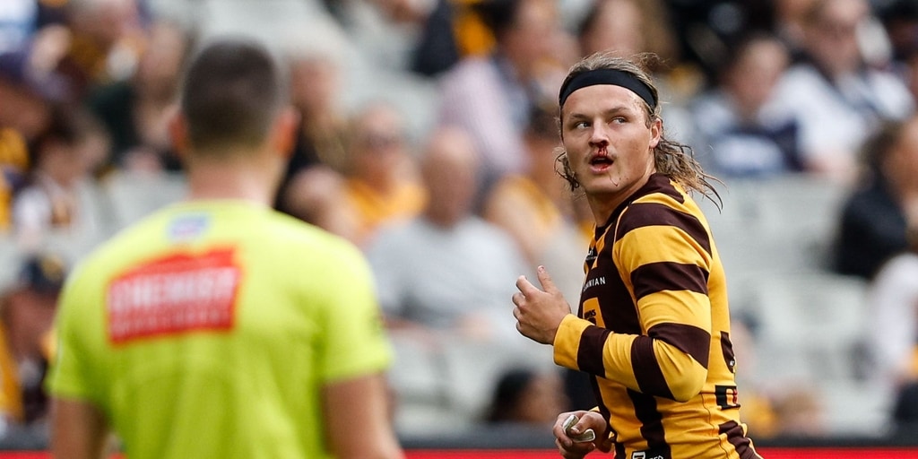 AFL concedes 'a few' missed free kicks for polarising Hawthorn Hawks Jack Ginnivan - Vimarsana News