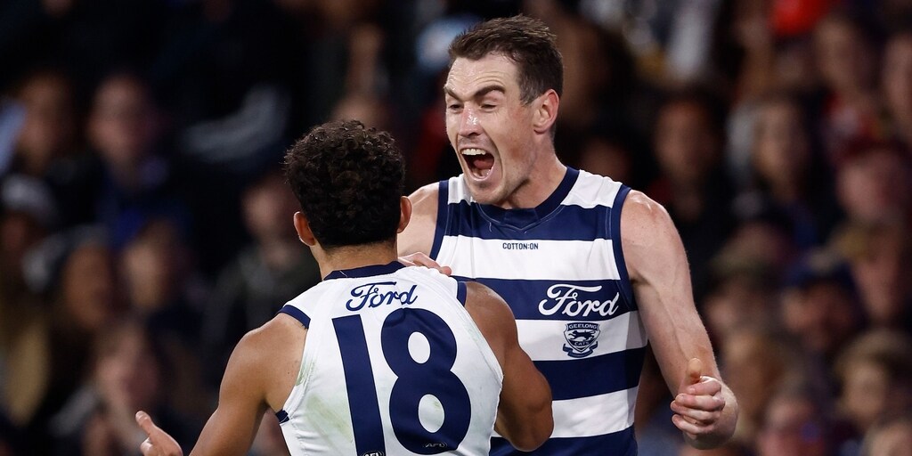 Cats win by a whisker over determined Dogs - Vimarsana News