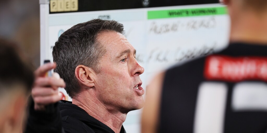 LISTEN: Craig McRae's shift in tone, what to do with Harry Sheezel at North Melbourne? - Vimarsana News
