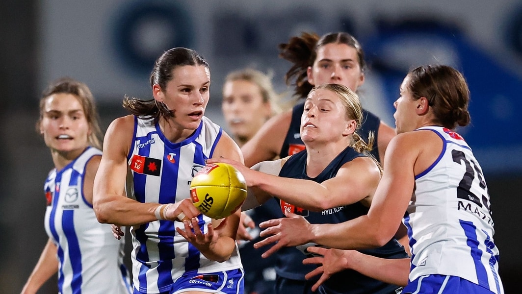 Carlton Blues vs North Melbourne image 4
