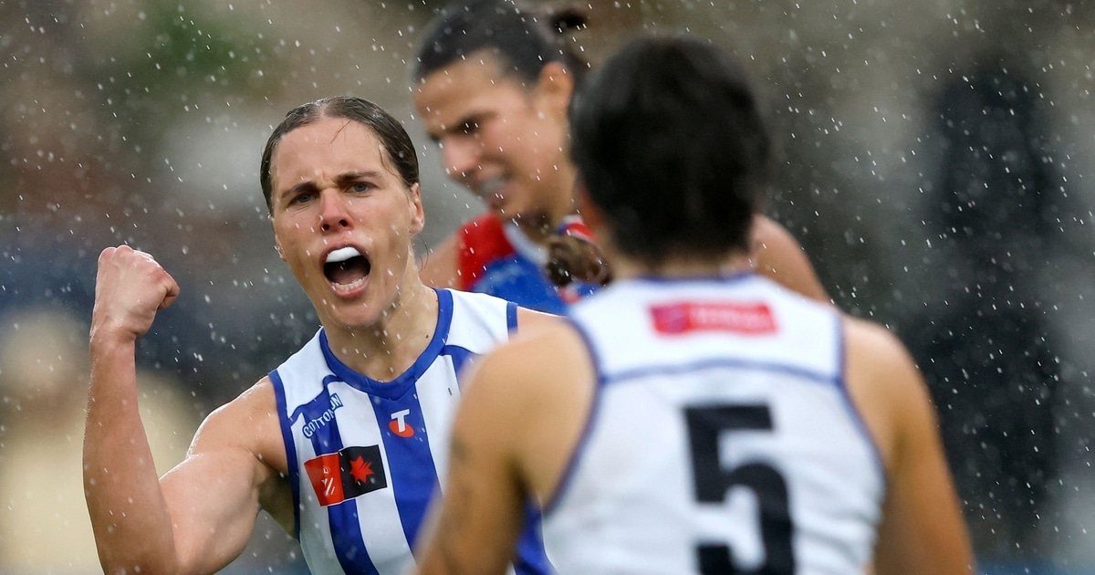 The run home: Minor premiership is North Melbourne Kangaroos' to lose ...