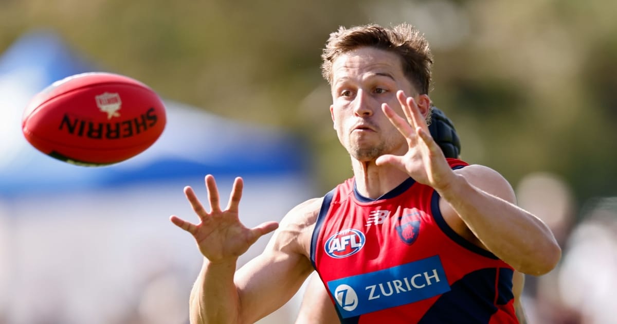 Stream your team: Watch all VFL and VFLW games LIVE and FREE