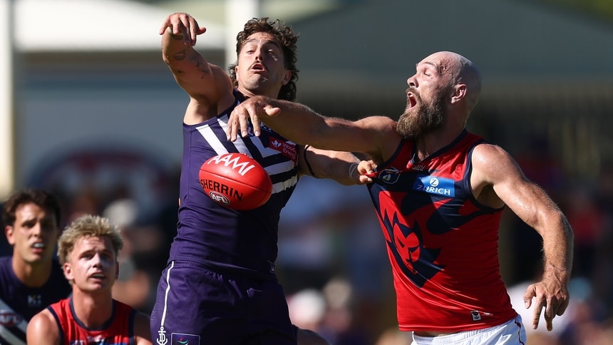 Luke Jackson and Max Gawn contest the ruck during the 2025 AAMI Community Series match between Fremantle and Melbourne at Rushton Park. Picture: Getty Images