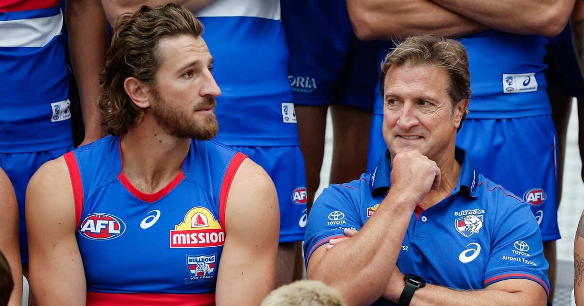 AFL Daily: LISTEN: 'Stability' for Dogs as Bevo locks in, pressure ...