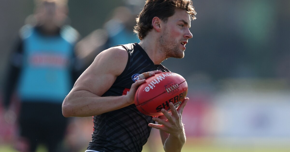 Official AFL Photo Galleries - AFL.com.au