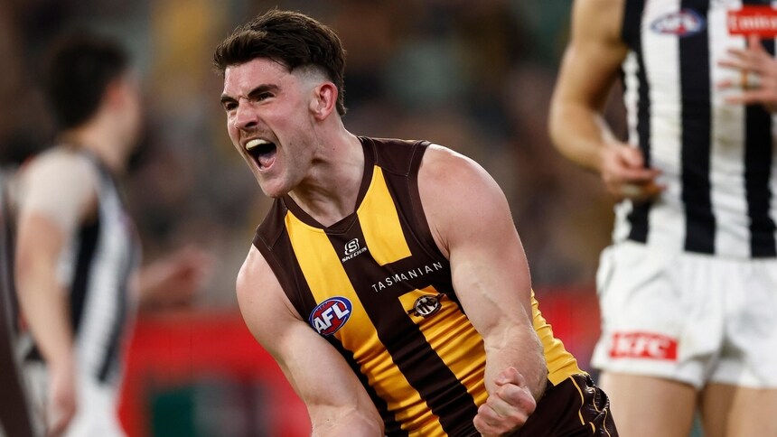 Jai Newcombe celebrates a goal during Hawthorn's clash against Collingwood in round 22, 2025. Picture: AFL Photos