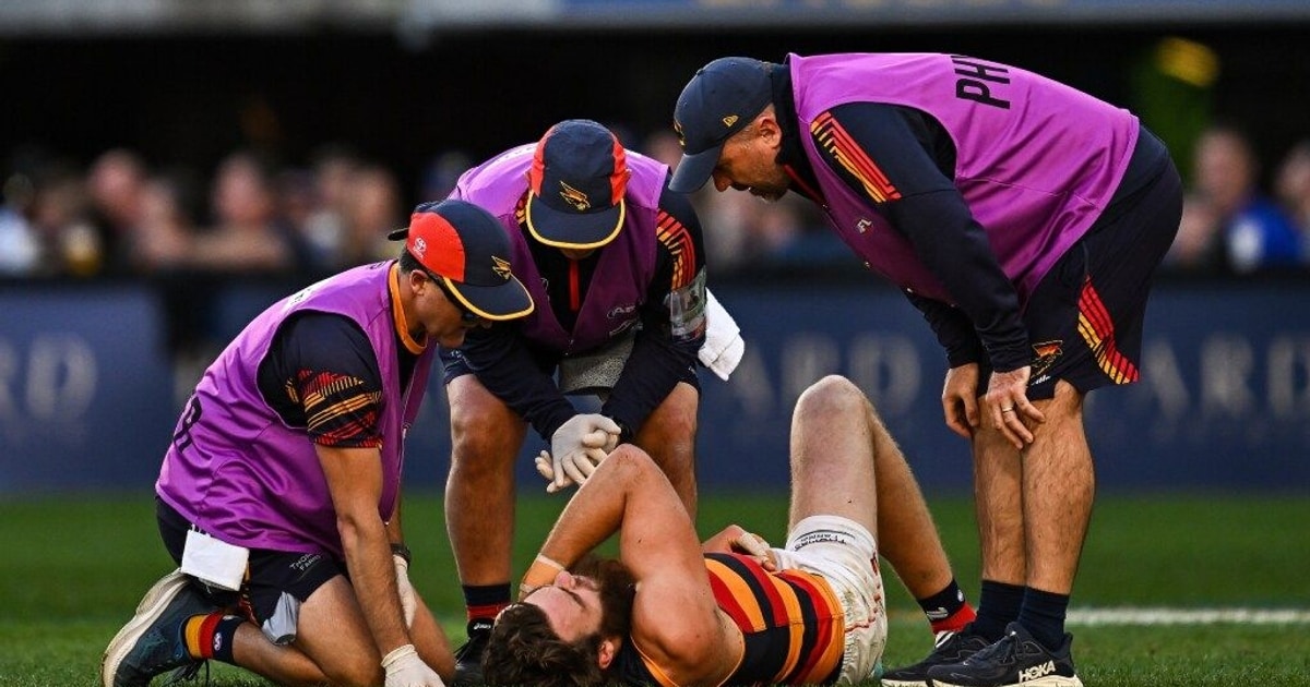 Captain Worry Crows sweat as star forward in agony after captain’s MRO worry