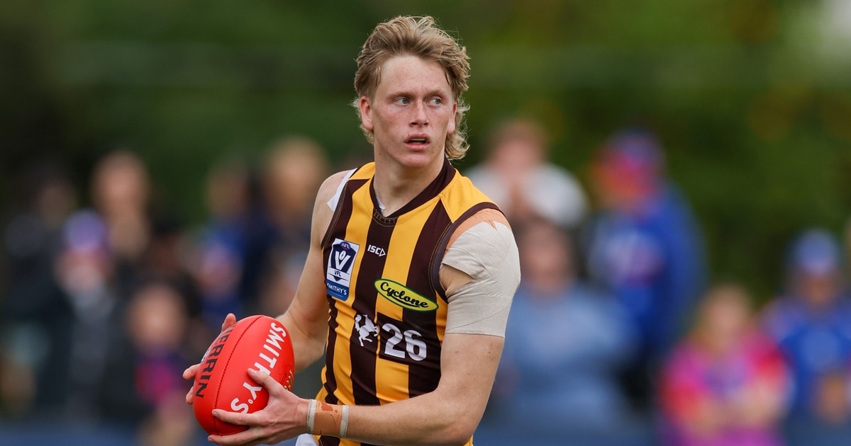 Melbourne trades for Hawthorn defender Bodie Ryan