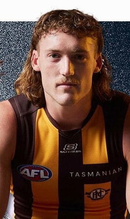 Hawthorn star Josh Weddle. Pictures: AFL Photos