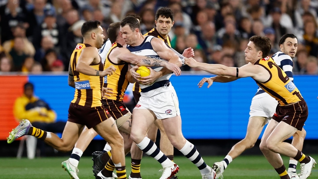 Geelong Cats vs Hawthorn Hawks image 5