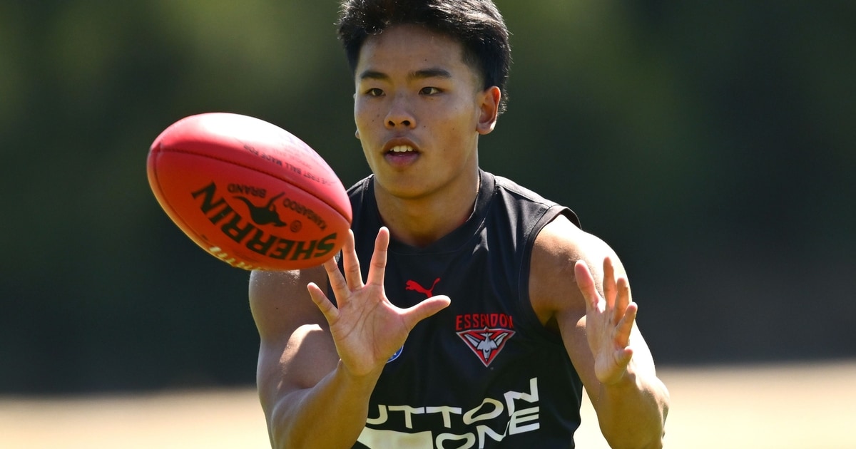 Official AFL Photo Galleries - AFL.com.au