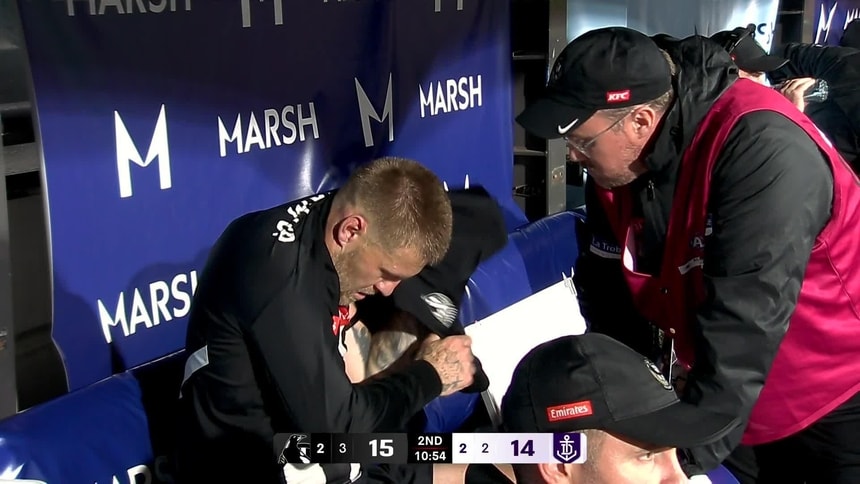 Huge Pies blow as star ruled out with concussion