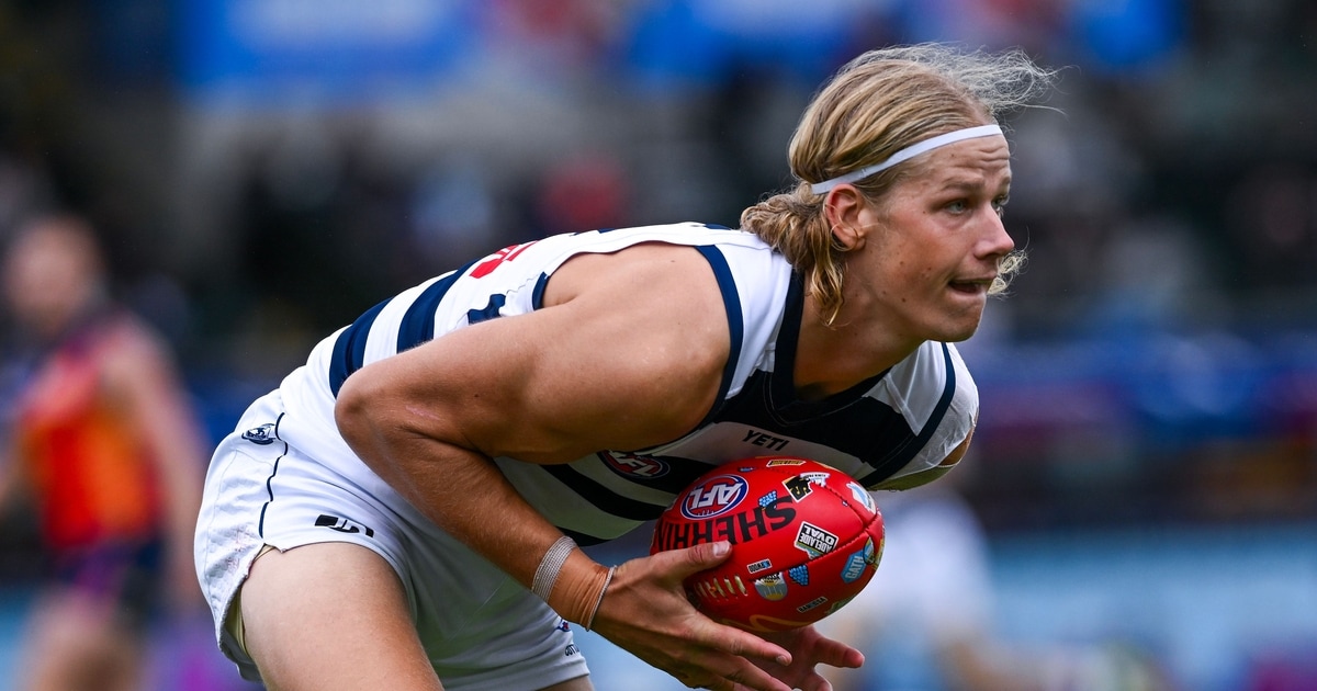 Stream your team: Watch all VFL and VFLW games LIVE and FREE