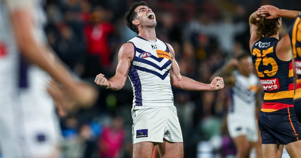 How this gun, Andrew Brayshaw's, role change could propel Fremantle ...