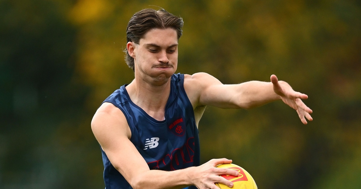Untried father-son tall among five Demons cut after season ends