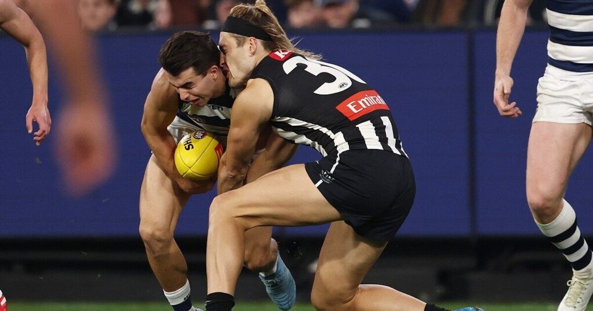 Huge Pies blow as skipper ruled out with concussion