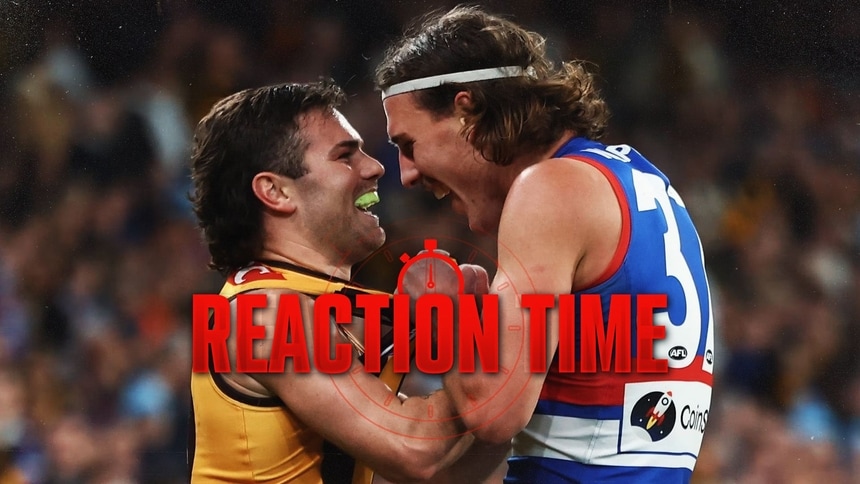 Nick Watson and Michael Sellwood during the round 13 match between Hawthorn and Western Bulldogs at the MCG, June 5, 2026. Picture: AFL Photos