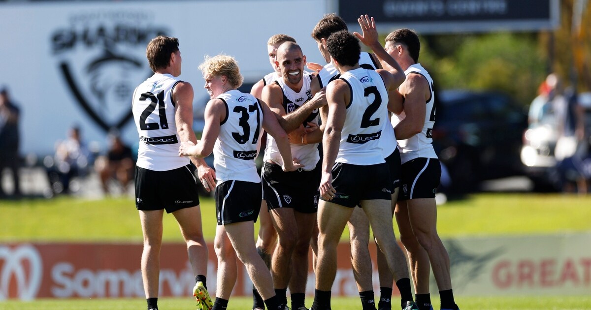 VFL Coaches MVP Award votes, R12: Swans ruck continues hot form; star ...