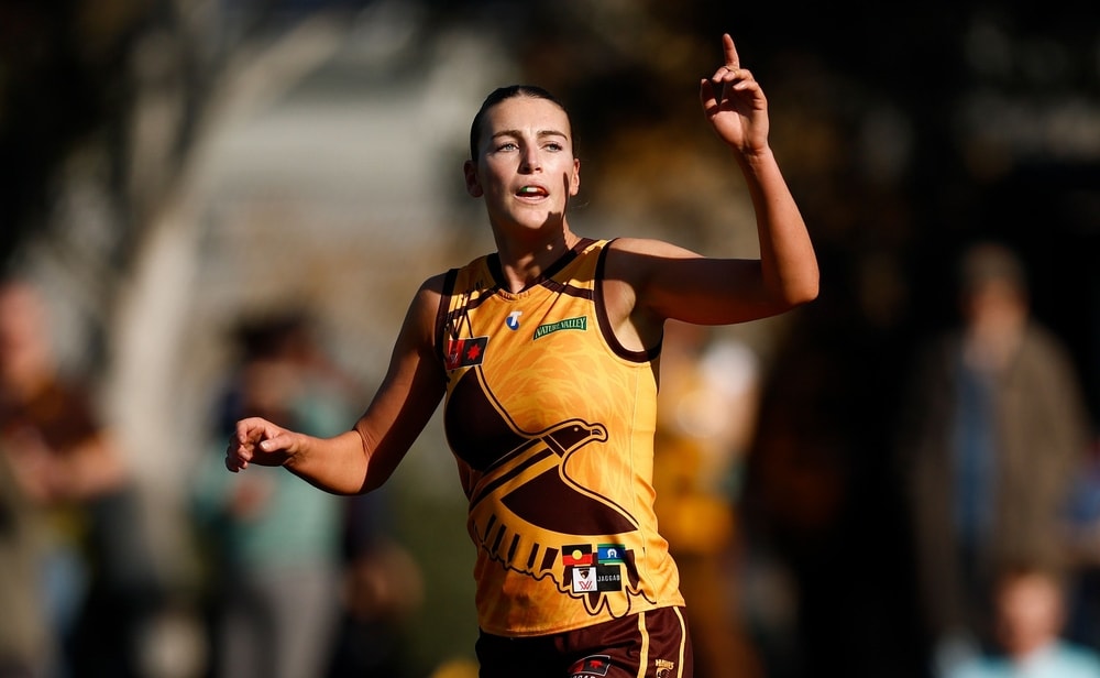 Hawthorn defeats Collingwood in Indigenous Round clash at Victoria Park