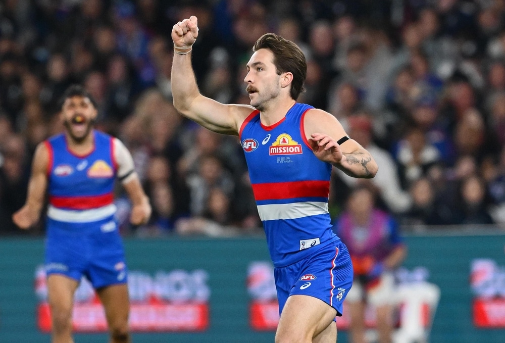 'No one's invincible': How Dog found positives in relegation