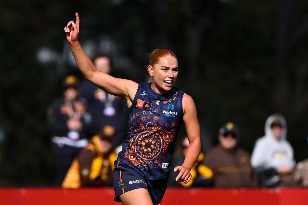 Crows crash Hawks' Dingley debut with a powerful win