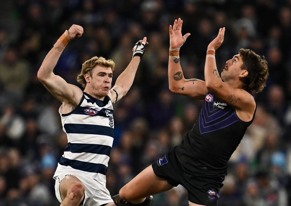 Mitchell Edwards prepares for Geelong semi-final clash against Fremantle ruckman Luke Jackson