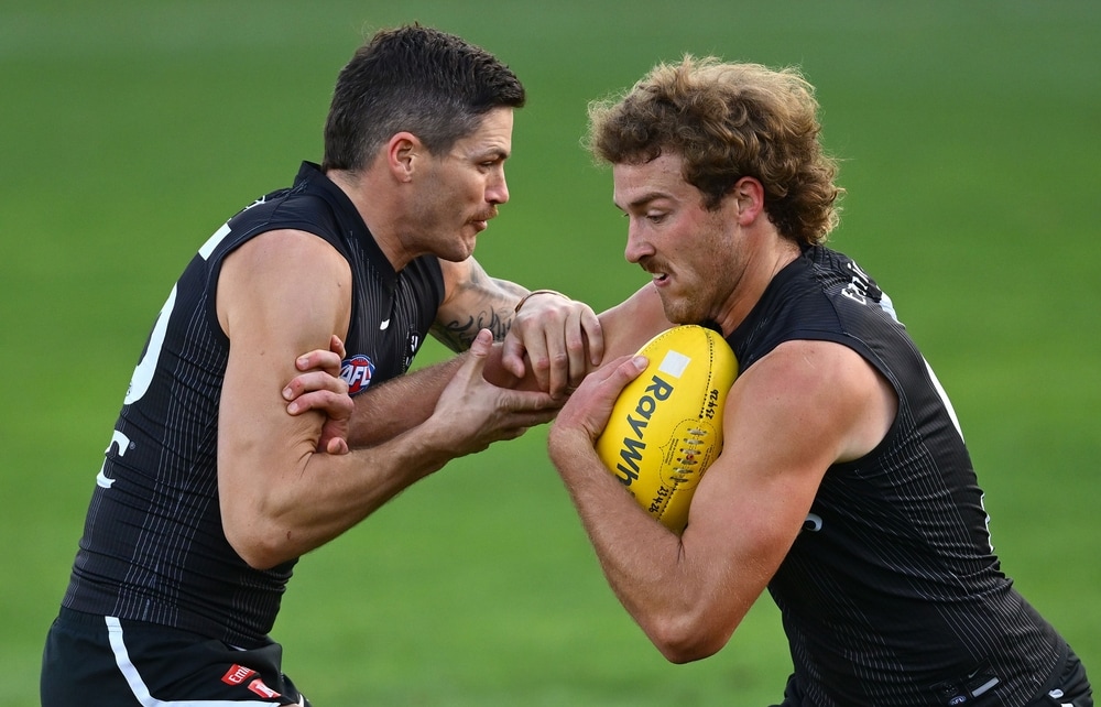 AFL to limit contact training for all men's and women's players