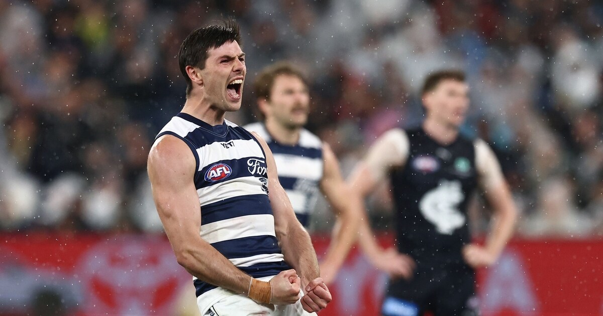 Cats forward finds his spark again after September heartbreak