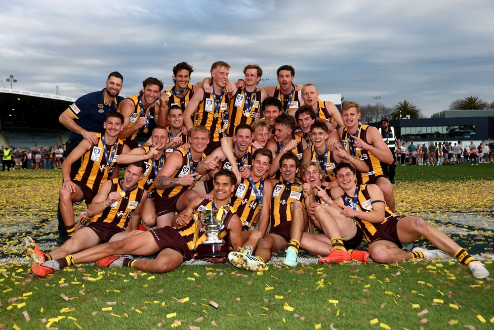 Mighty, fighting Hawks prey on Cats in premiership decider
