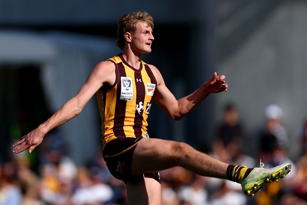 Young Hawks tall makes his call amid Suns interest