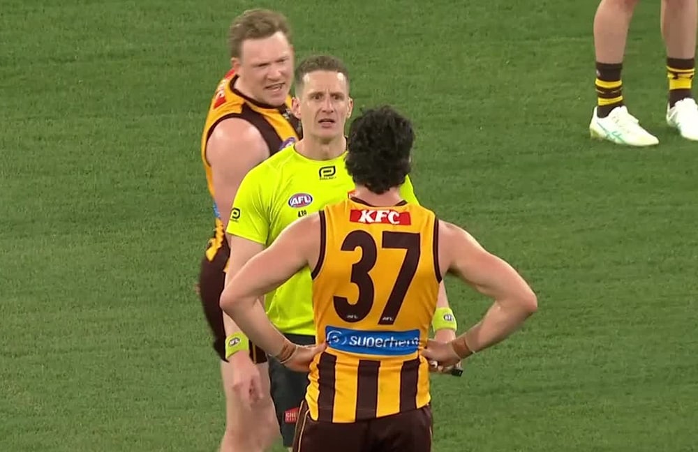 Hawthorn's Sicily, Barrass fined for umpire abuse after prelim final