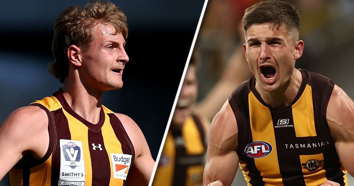 Gold Coast Suns seal deal for Hawthorn Hawks duo Aidan Schubert, Sam ...